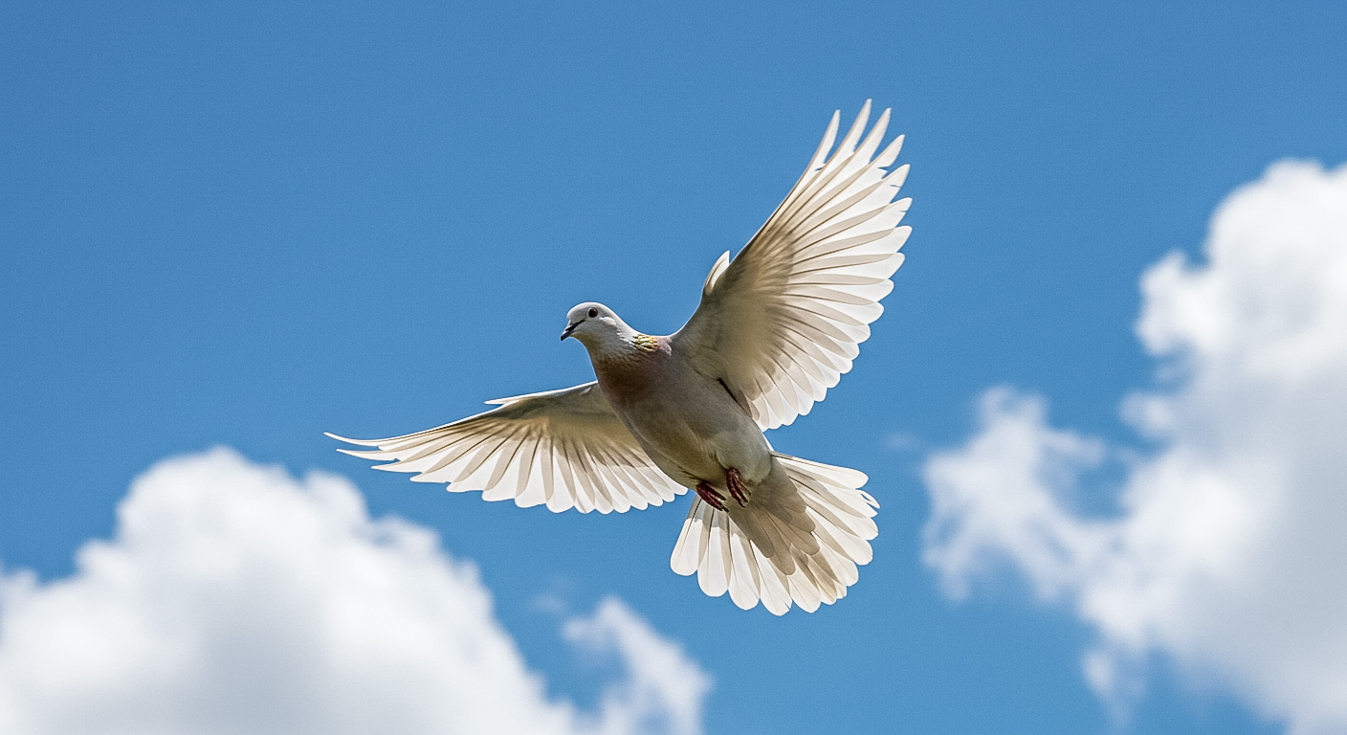 Angelic Flight